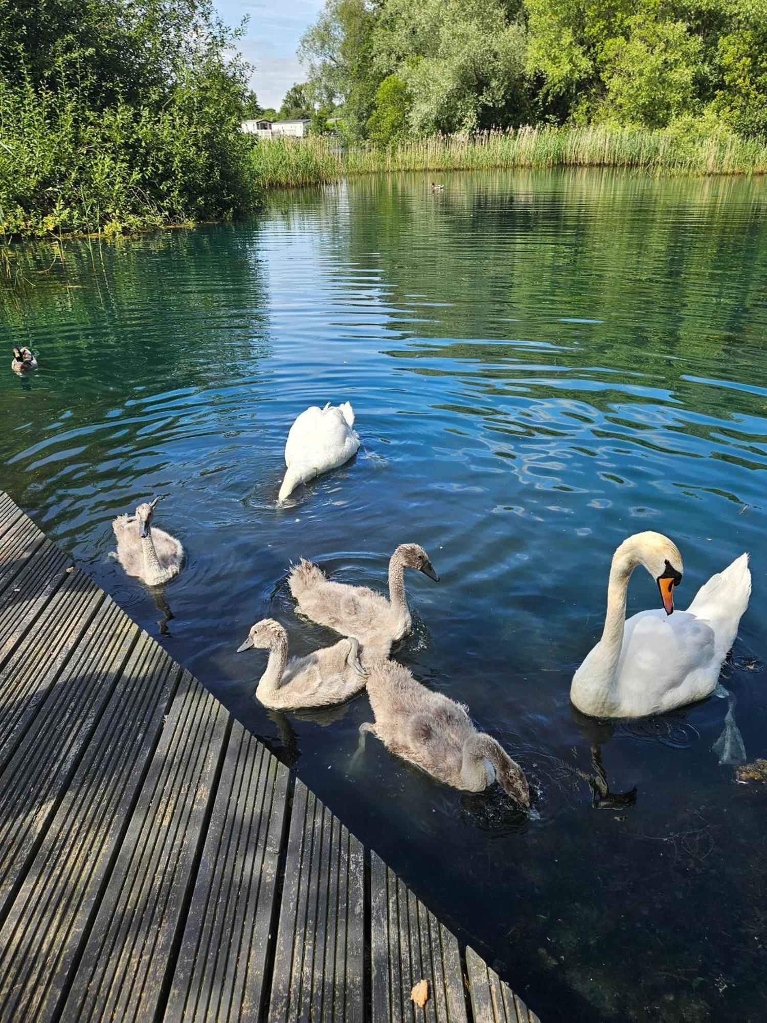 Luxury Lakeside Caravan With Hottub And Private Fishing Peg, Tattershall Lakes Bagian luar foto